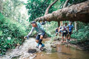 BIB: 
                            <button type="button" onclick="openModal(25374424)" class="btn btn-primary btn-sm float-right btn-popup" data-toggle="modal" data-target=".modal-high-quality">
                        <i class="fas fa-shopping-cart"></i> Add to Cart
                    </button>
                                            <button type="button" onclick="isThisMe(25374424, true)" class="btn btn-success btn-sm float-right btn-popup btn-isme hidden" data-toggle="tooltip" data-placement="bottom" title="นี่คือรูปของคุณใช่ไหม คลิกที่นี่เพื่อเอาเข้าอัลบั้ม">
                        <i class="fas fa-plus"></i> Add to album
                    </button>
                    <button type="button" onclick="isThisMe(25374424, false)" class="btn btn-warning btn-sm float-right btn-popup btn-isnotme hidden">
                        <i class="fas fa-ban"></i> Remove from album
                    </button>